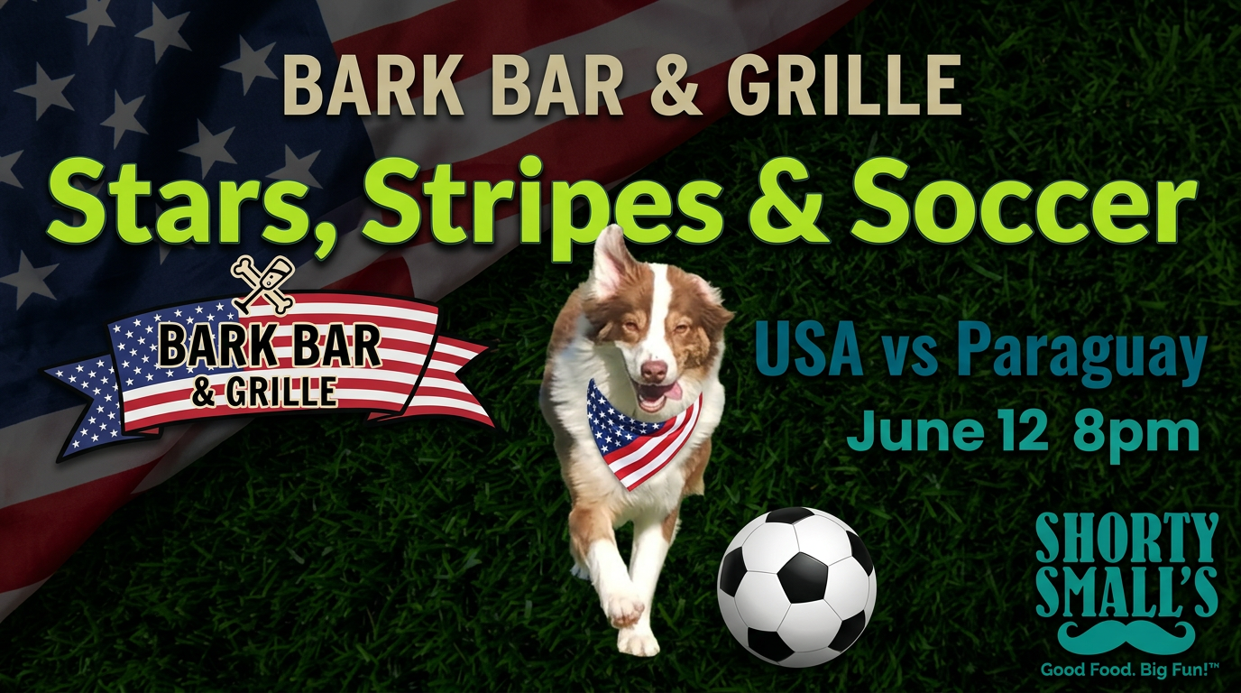 Stars, Stripes, and Soccer: USA vs Paraguay World Cup Watch Party