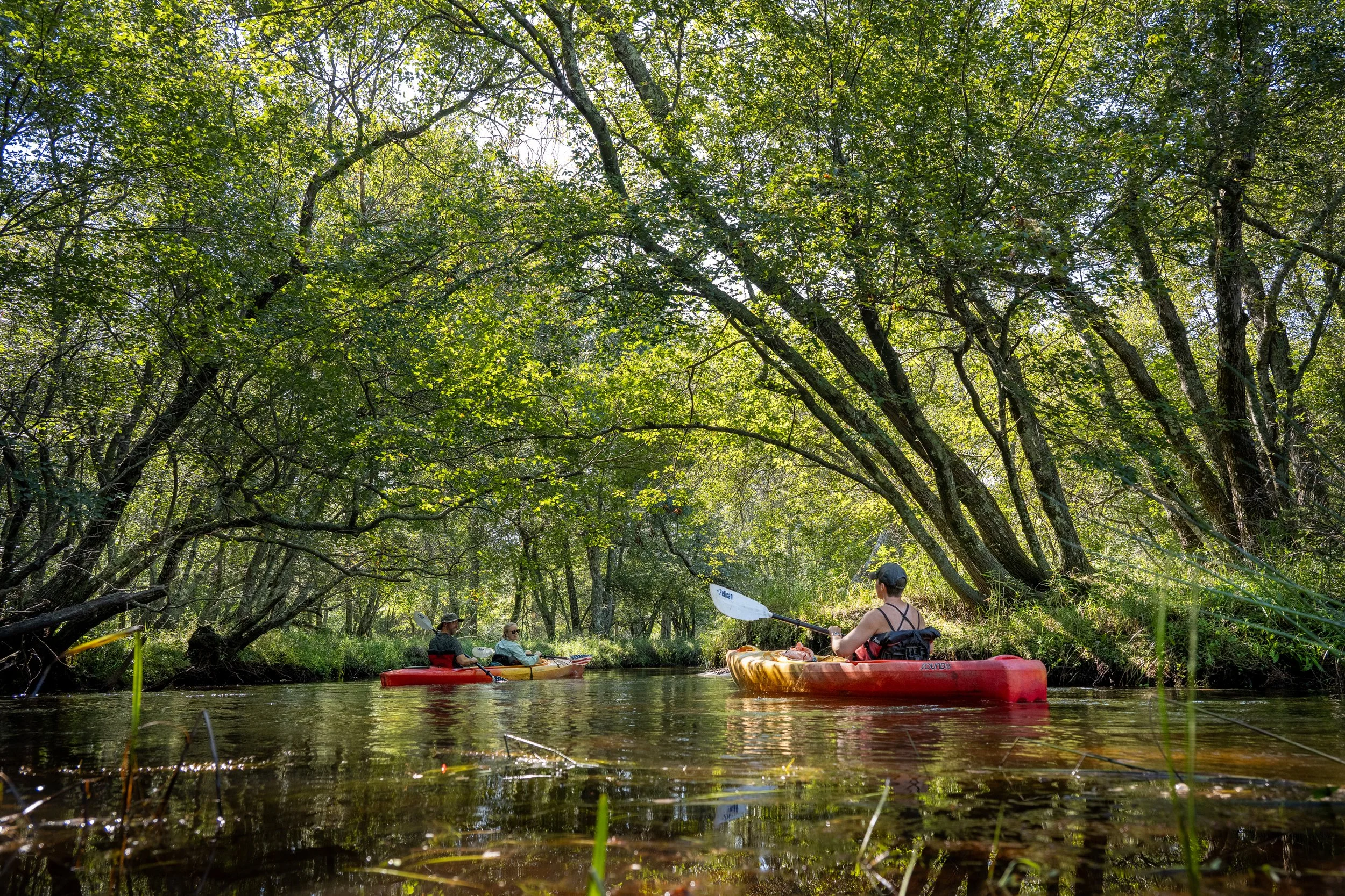 PB25_Batsto_Paddle_360.jpg