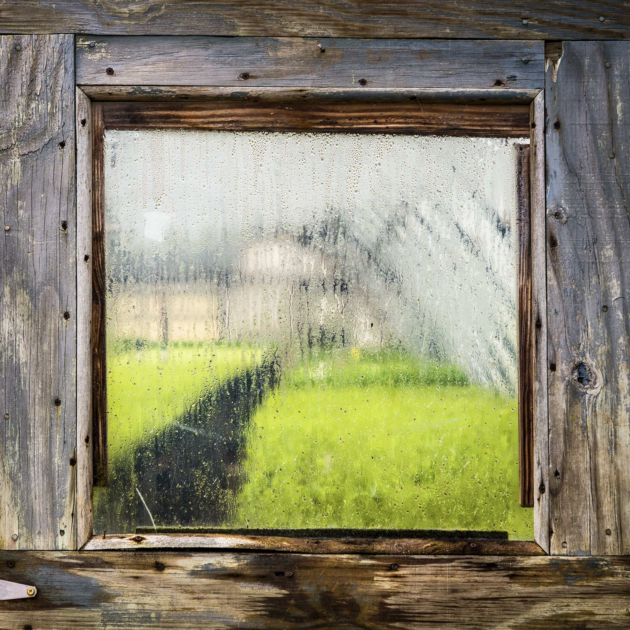 greenhouse.jpg