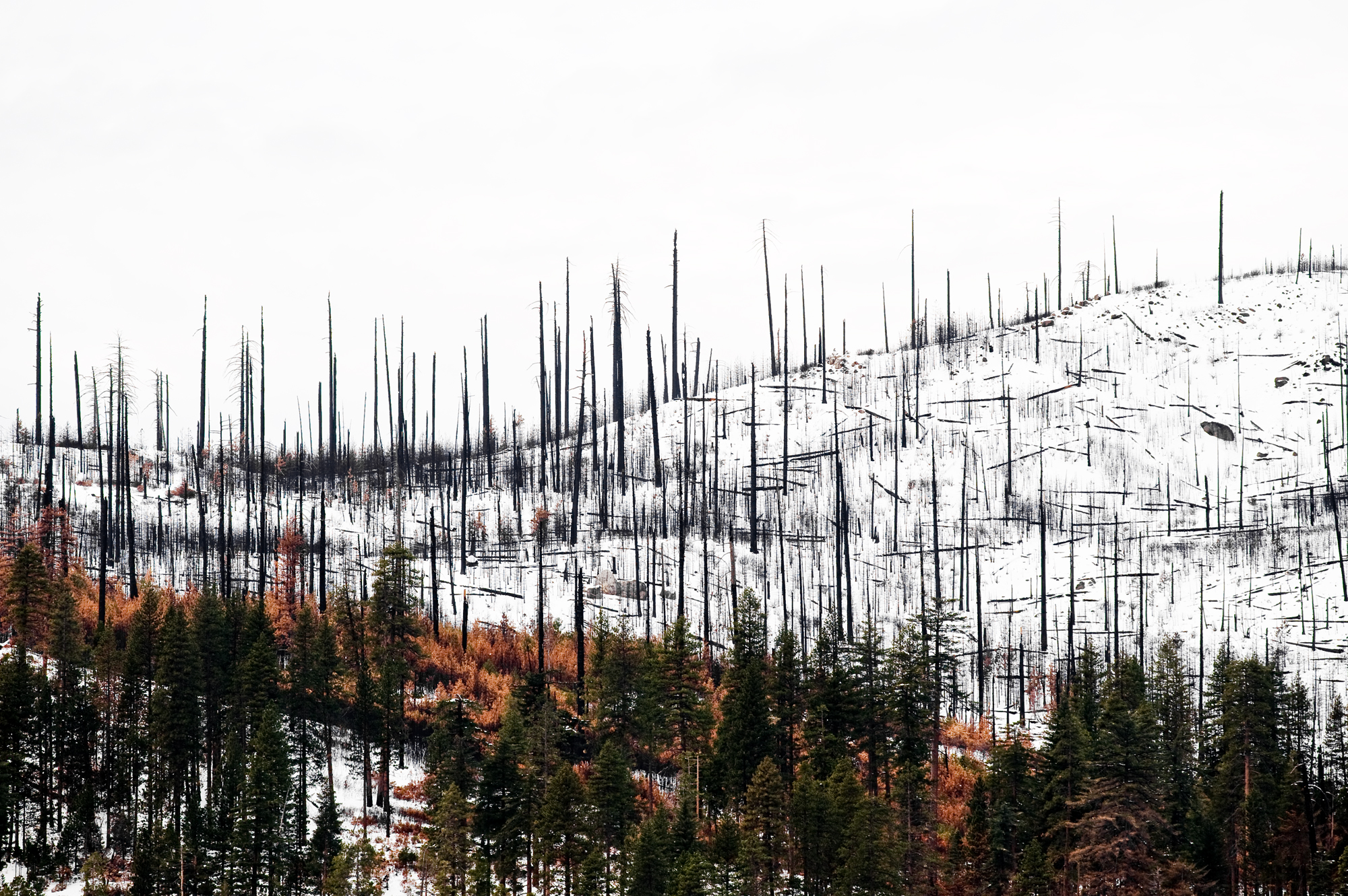 ST_yosemiteNP_KK_005.jpg
