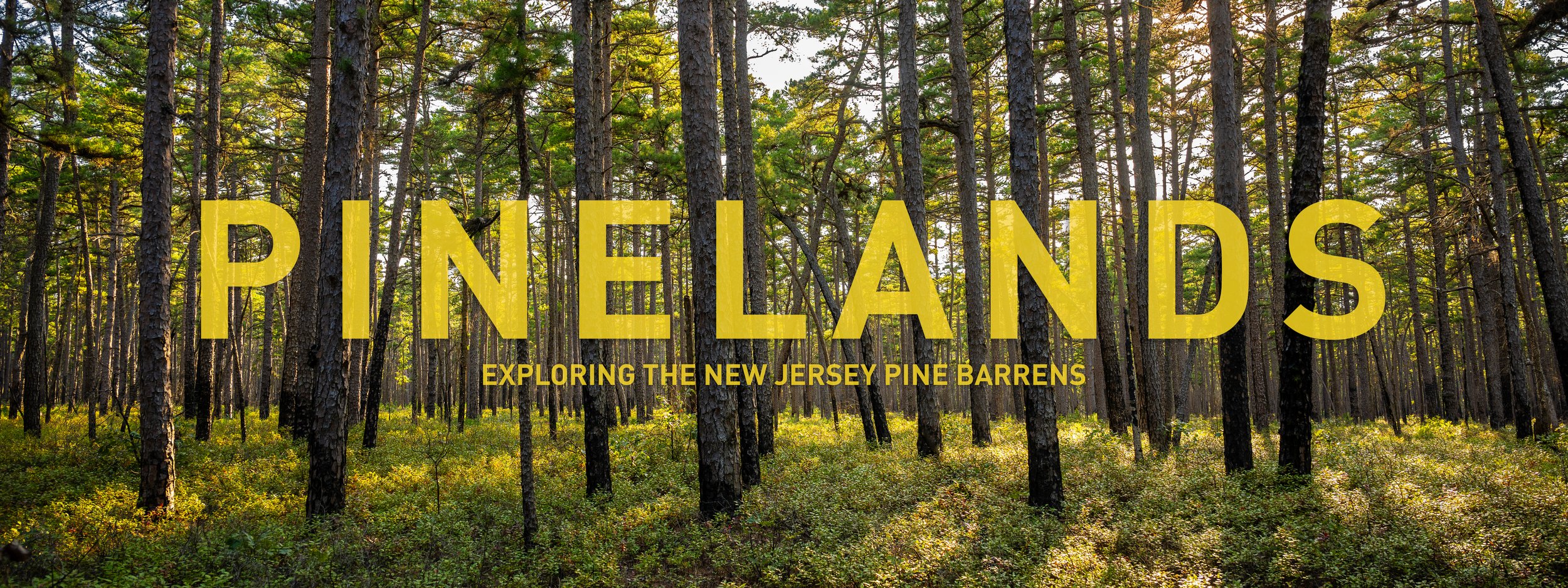PINELANDS_explore.jpg