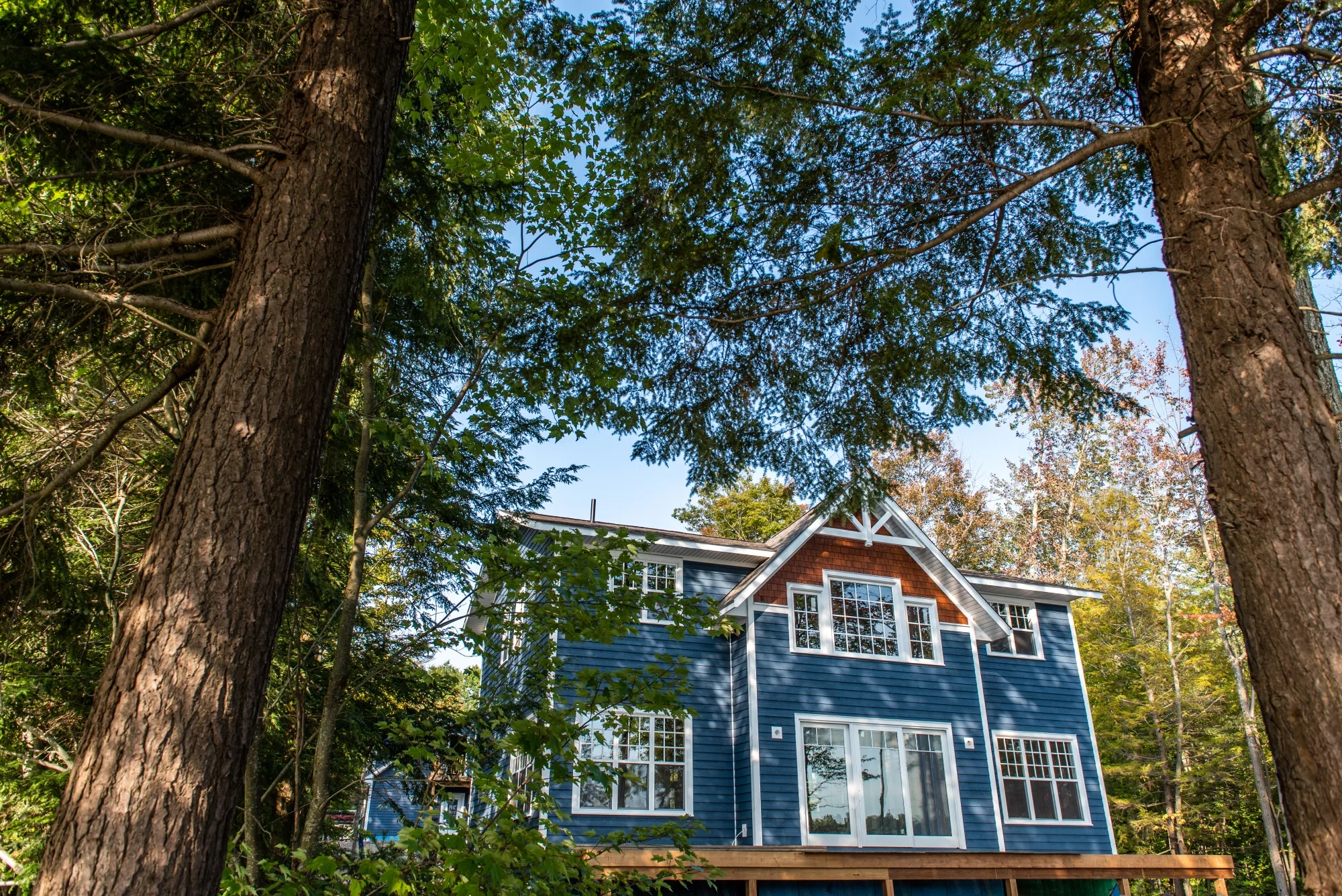 webVertexSept2018-photobyDahliaKatz-7001.jpg