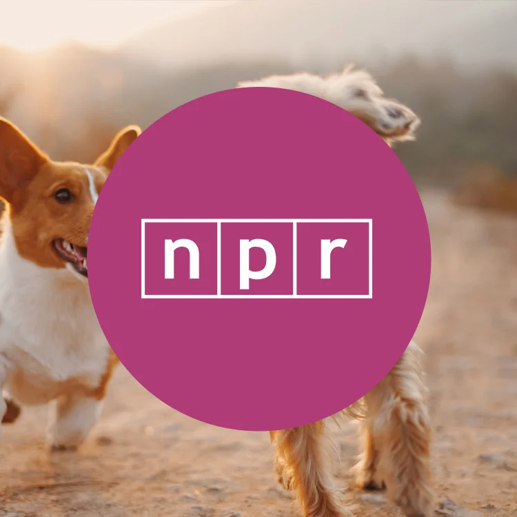 Bond_Press_Images_Purple_NPR.jpg