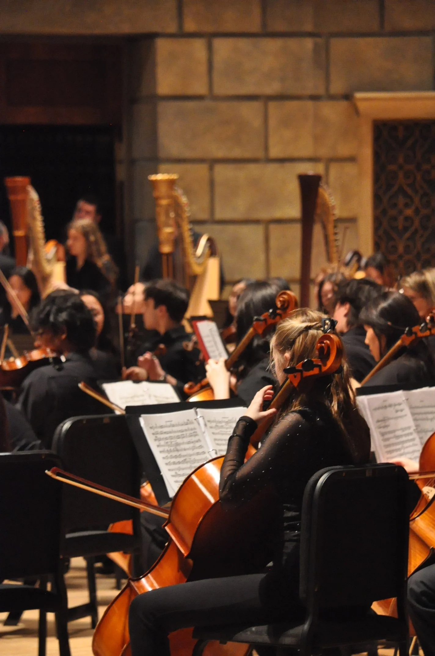 RPYO Spring Showcase