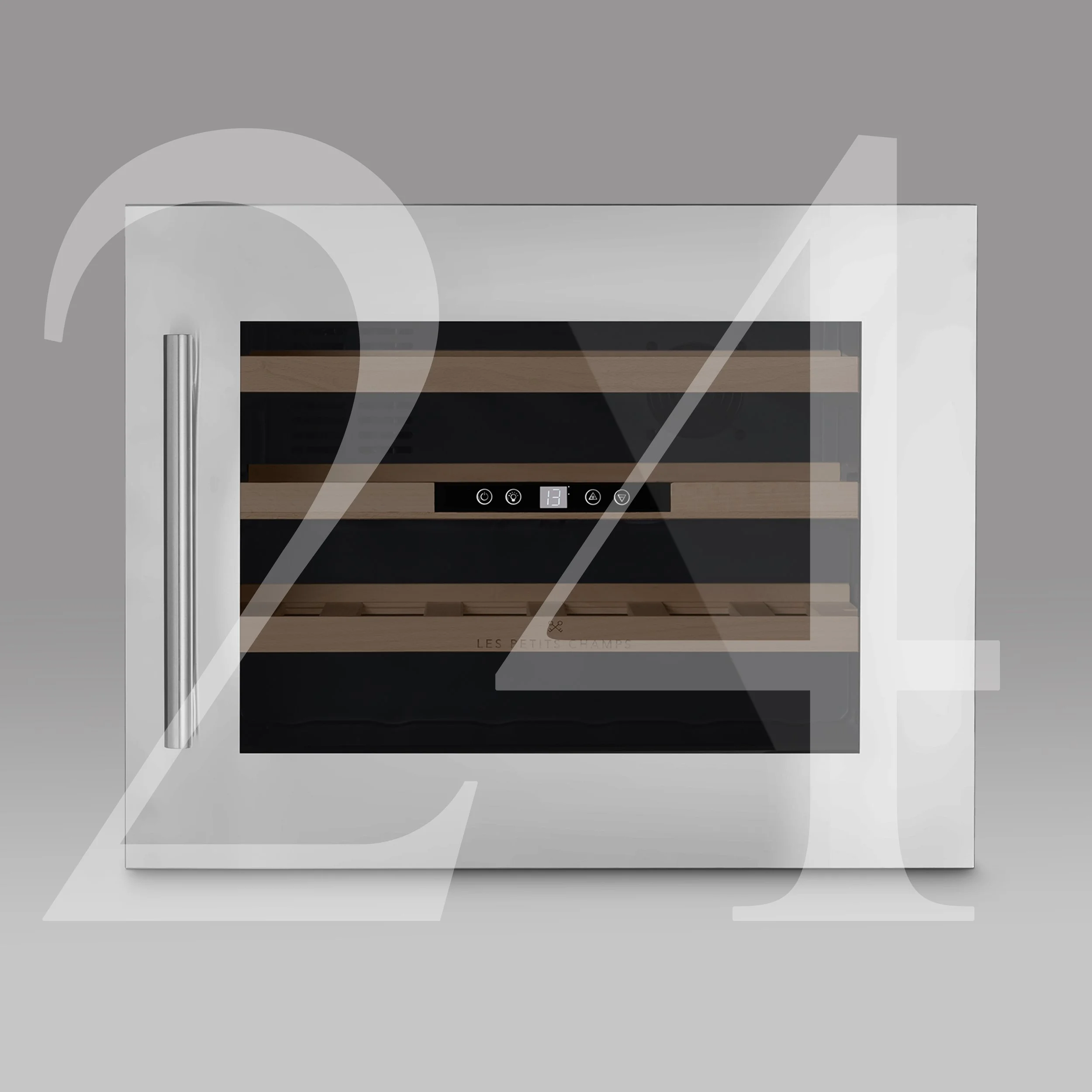 CAVCI24