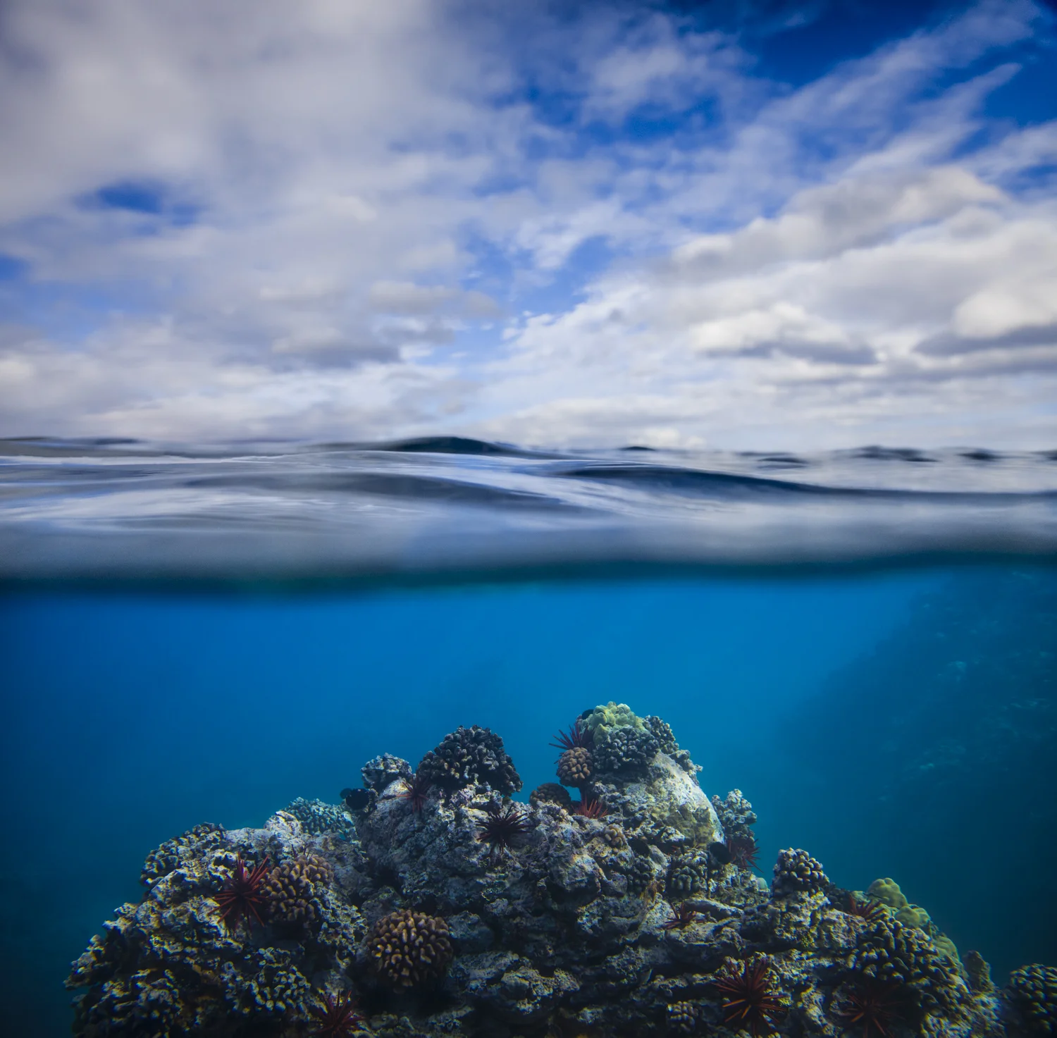 _D6A5512-Edit.jpg