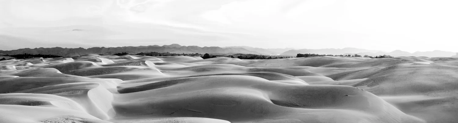 ACP__20120227-0039.jpg