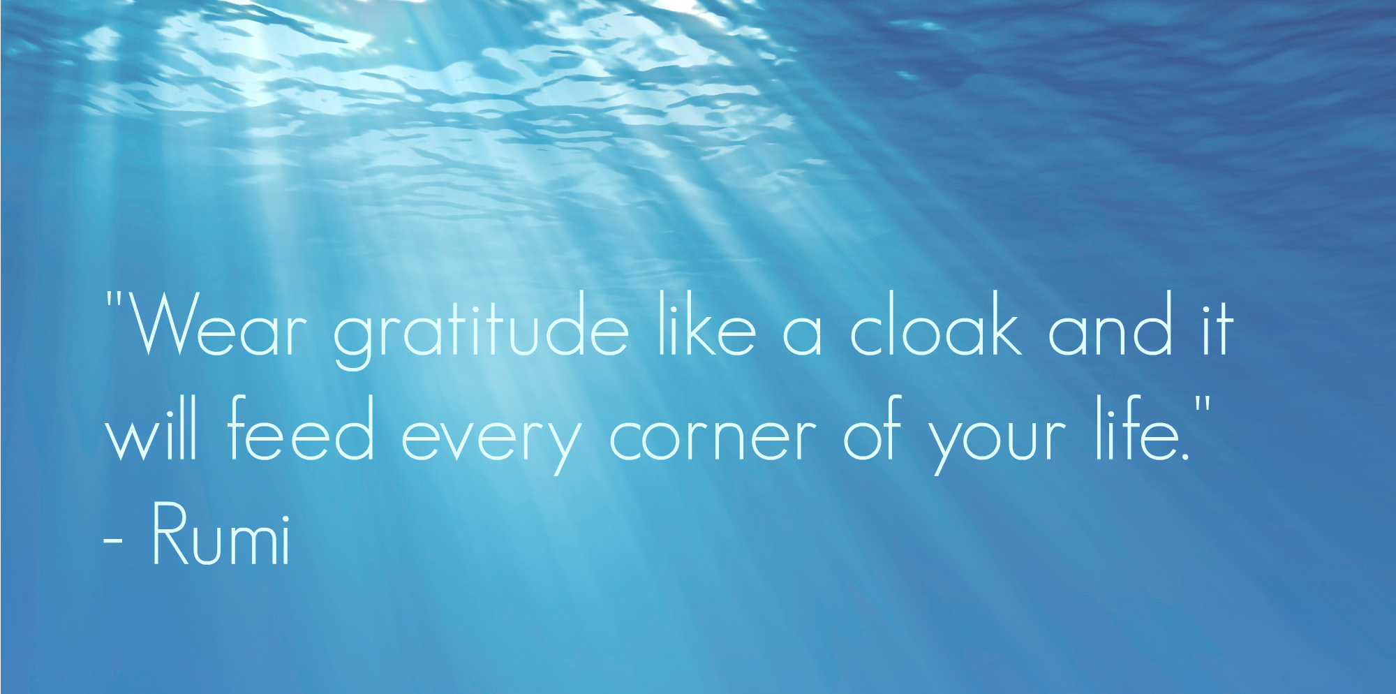 gratitude.png