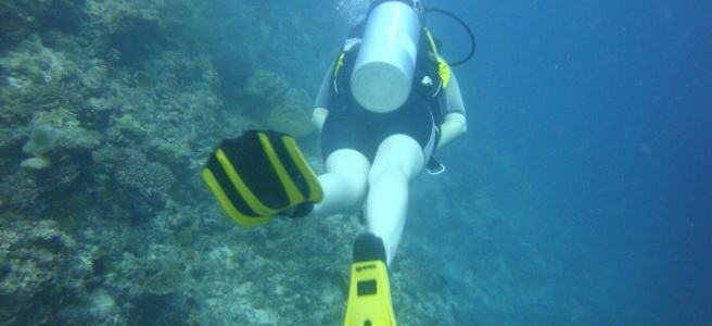 image5.jpeg
