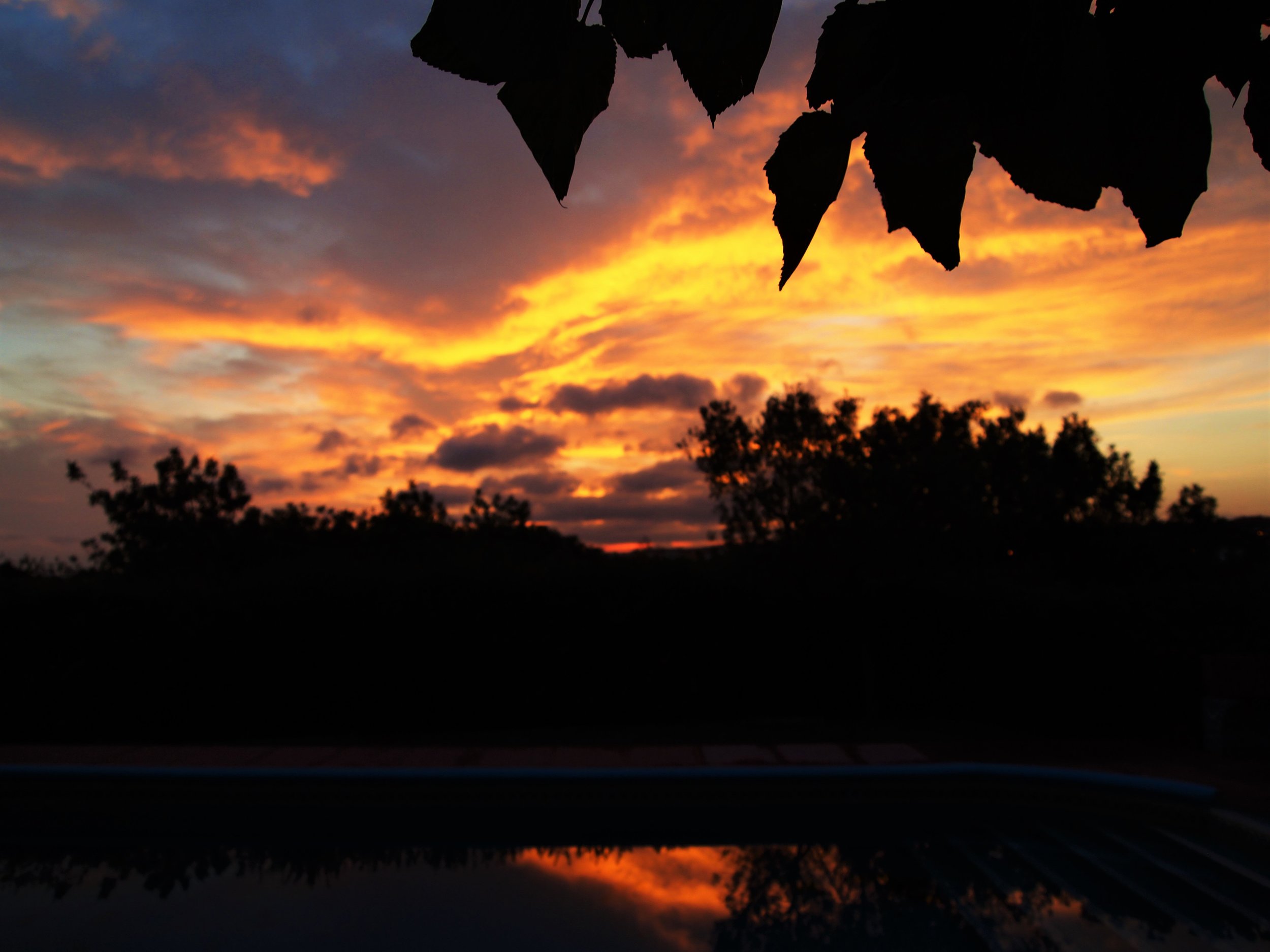 P1016516.jpg