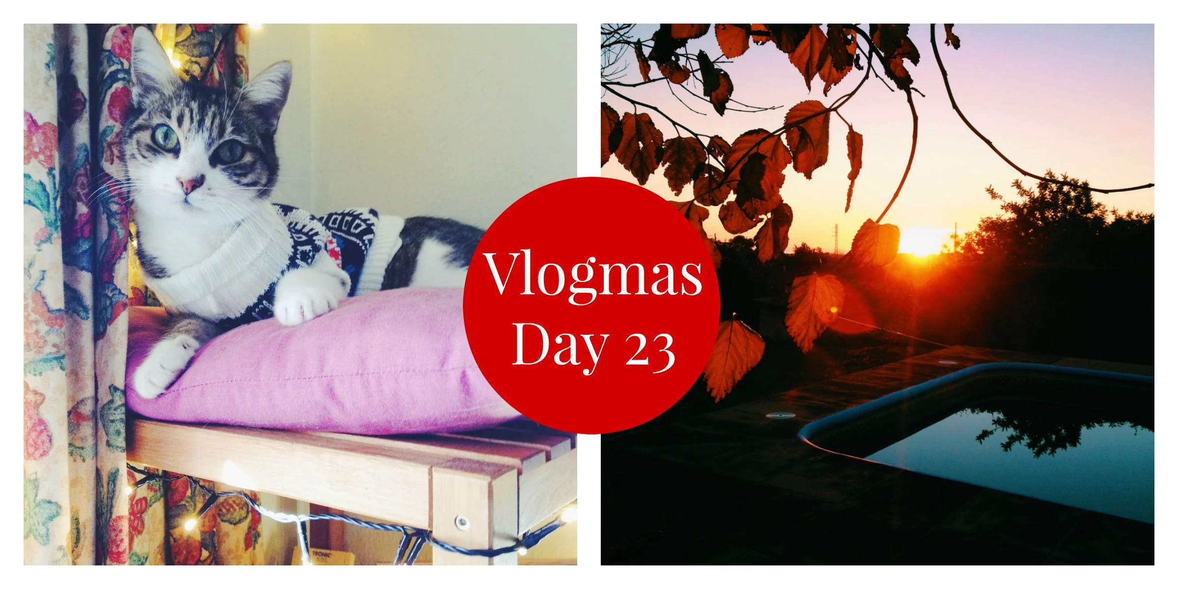 vlogmasday23.jpg
