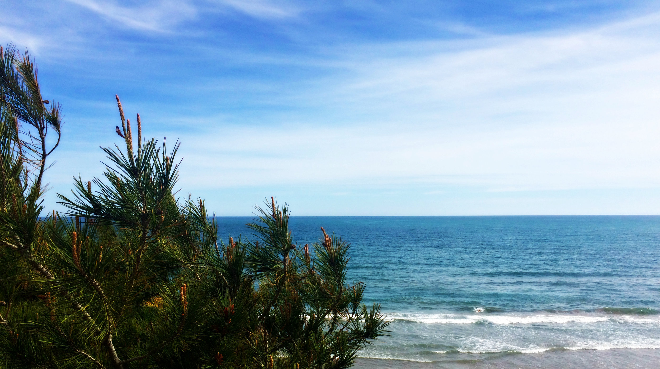 beach.jpg