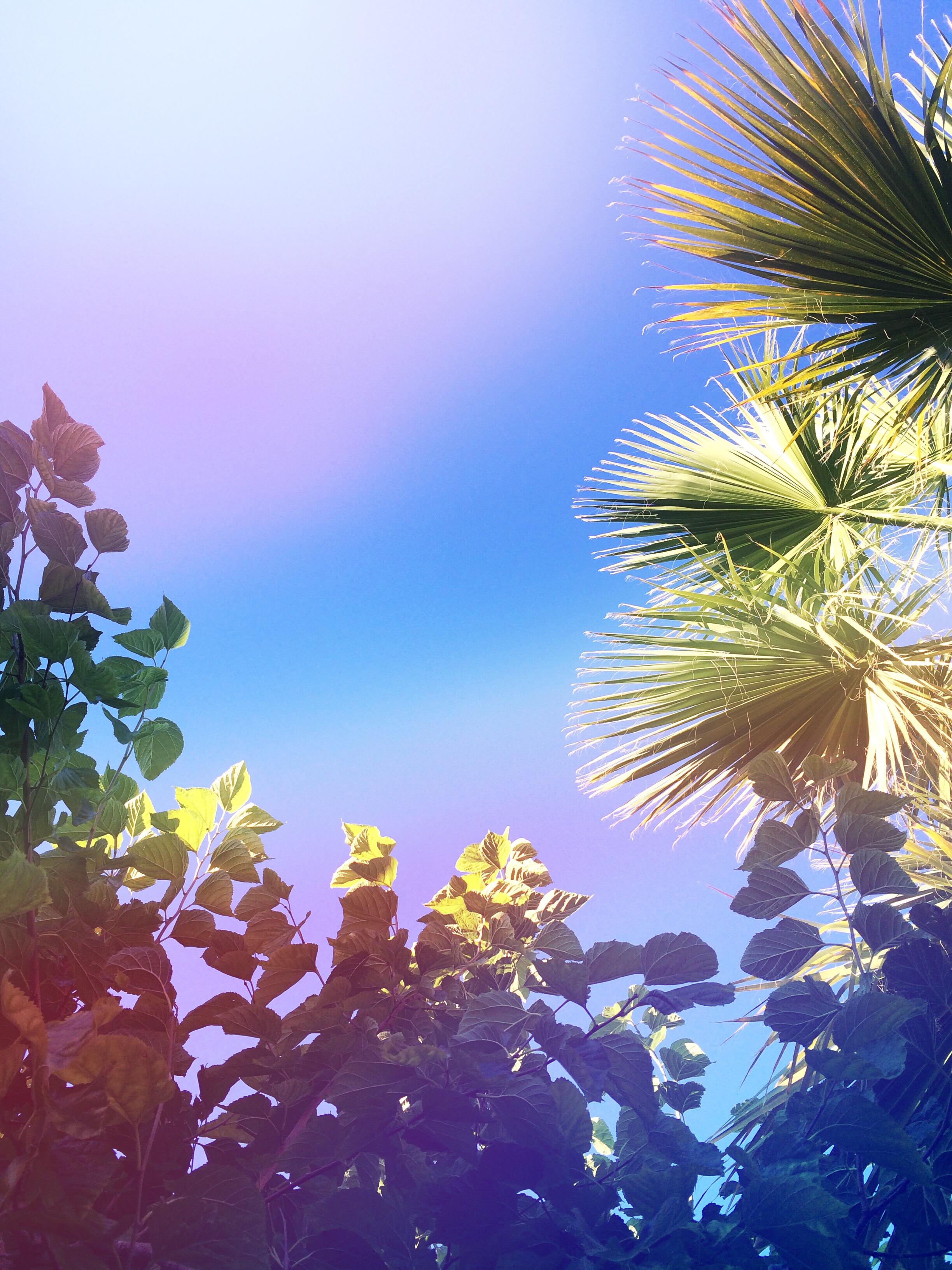 image-16.jpeg