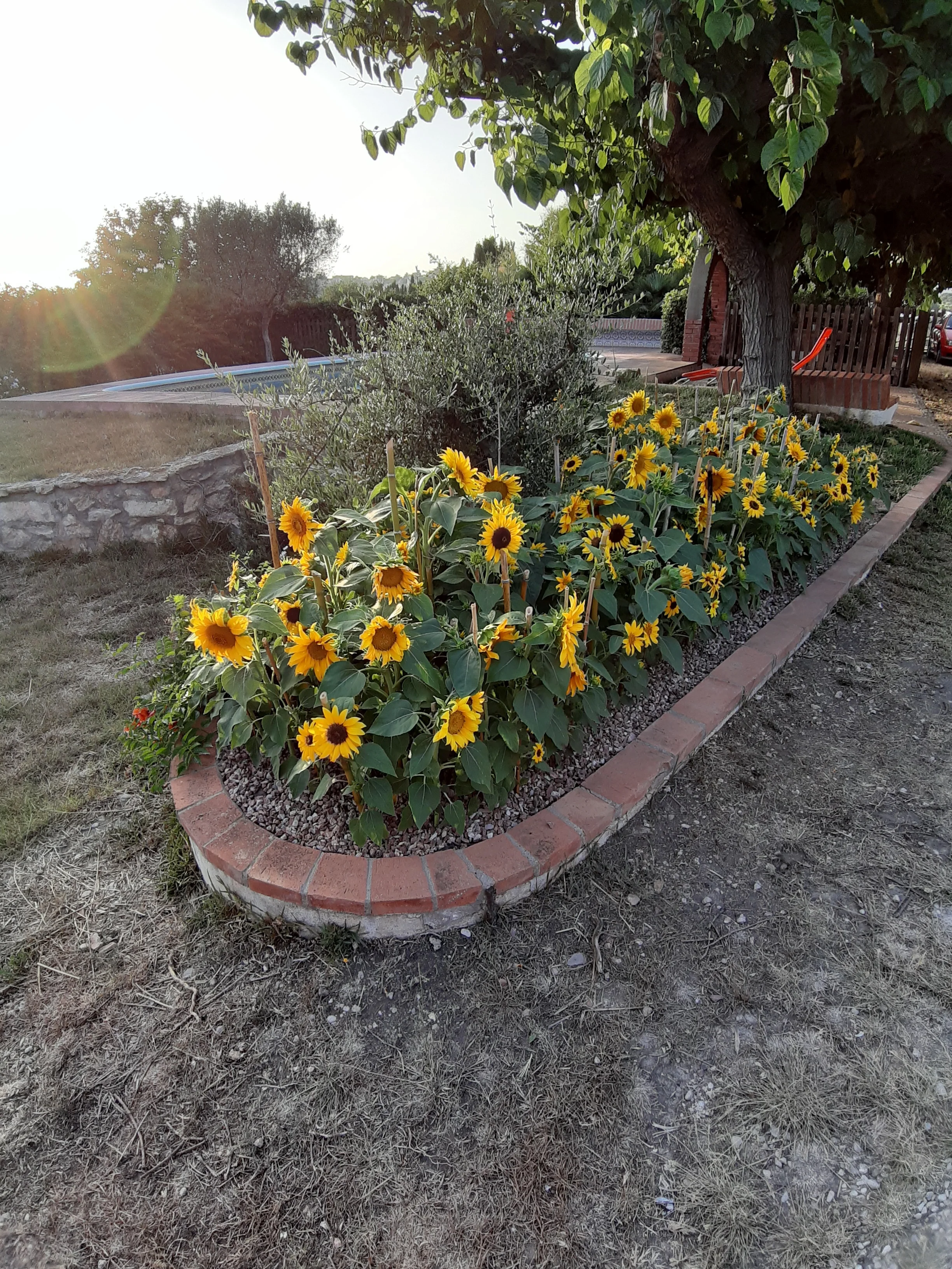 20190705_203629.jpg