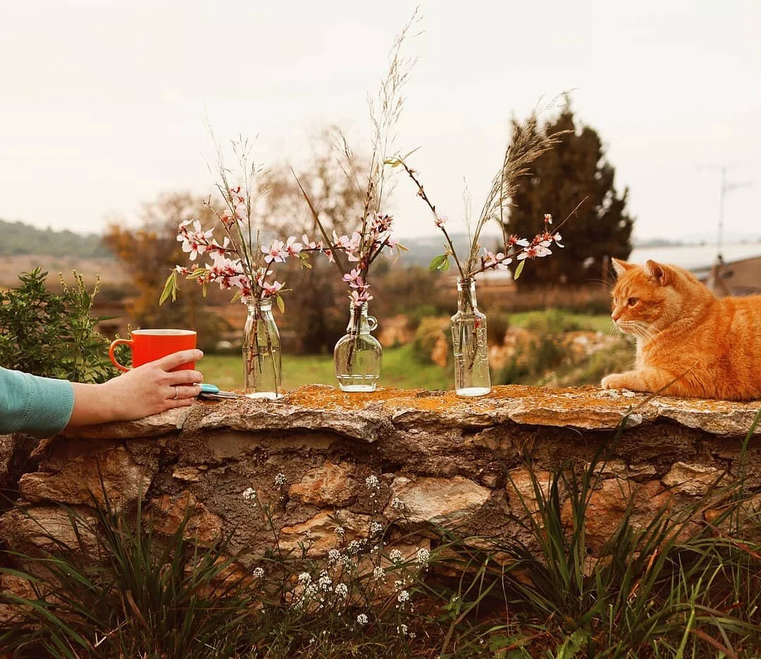 🤫 shhhhh. I'll let you in on a secret...I'm not very good at just being. at just doing nothing. Like actual nothing, my nothing consists of cat cuddling or pottering or checking messages or cleaning or meditating or yoga or a walk or listening to a podcast or watching a series or reading a book or listening to an audio book...like actual things. I find it near on impossible to sit still, I don't even sleep still! I am always on the move.
So, my #20MinsNourishingSoulfully this week is to pause every day to take a break and do...dun dun duuuuun NOTHING 😲. Oooooh it feels big, it feels really big, it also feels necessary 🧡. How about you? What feels necessary to nourish yourself soulfully this week? Will you also set an intention? You can share yours using #20MinsNourishingSoulfully and please do tag me as I adore reading these intentions 🥰