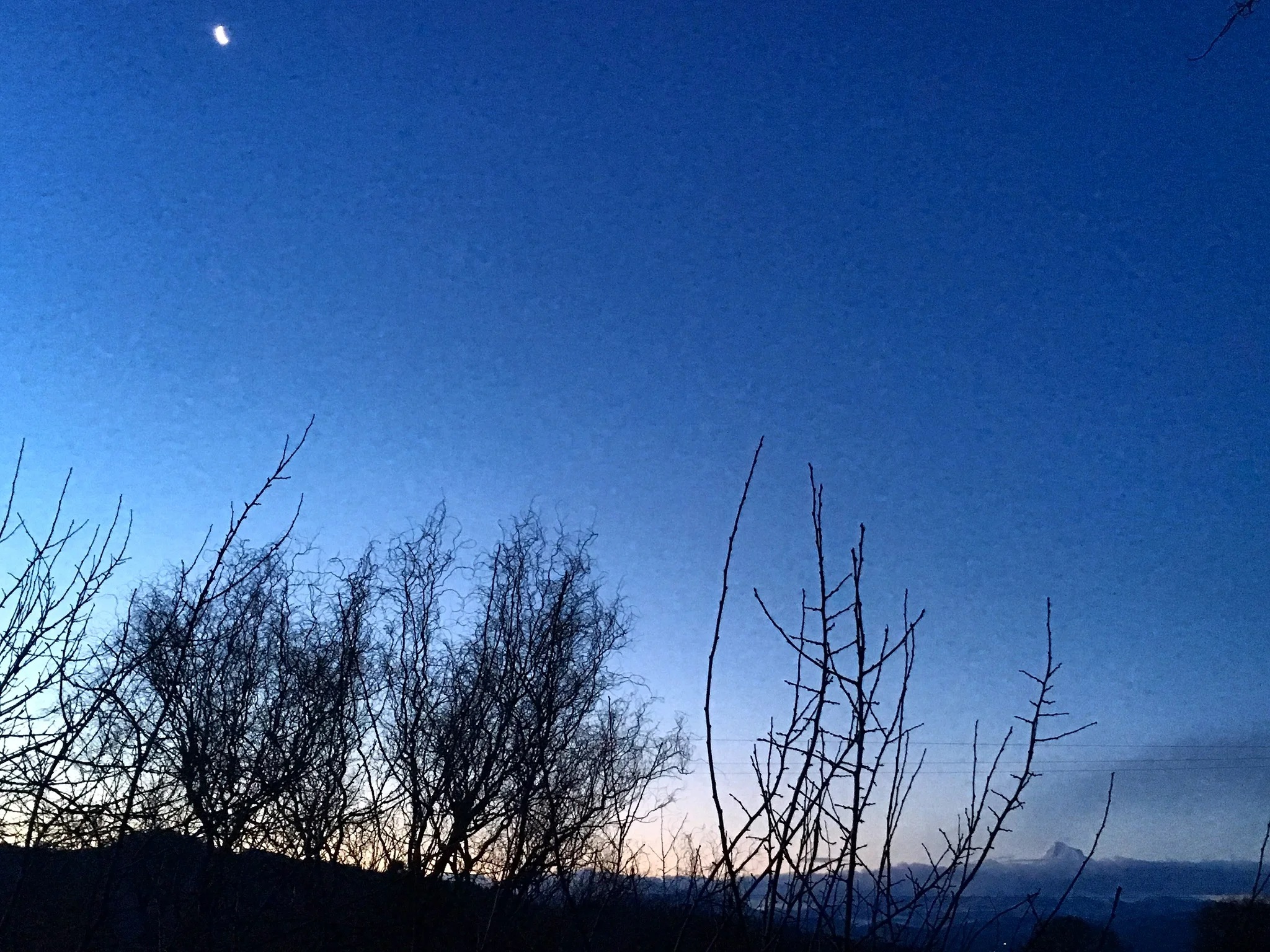 E4727369-95D1-4AF6-B8C9-F6C968CB67B6.jpeg