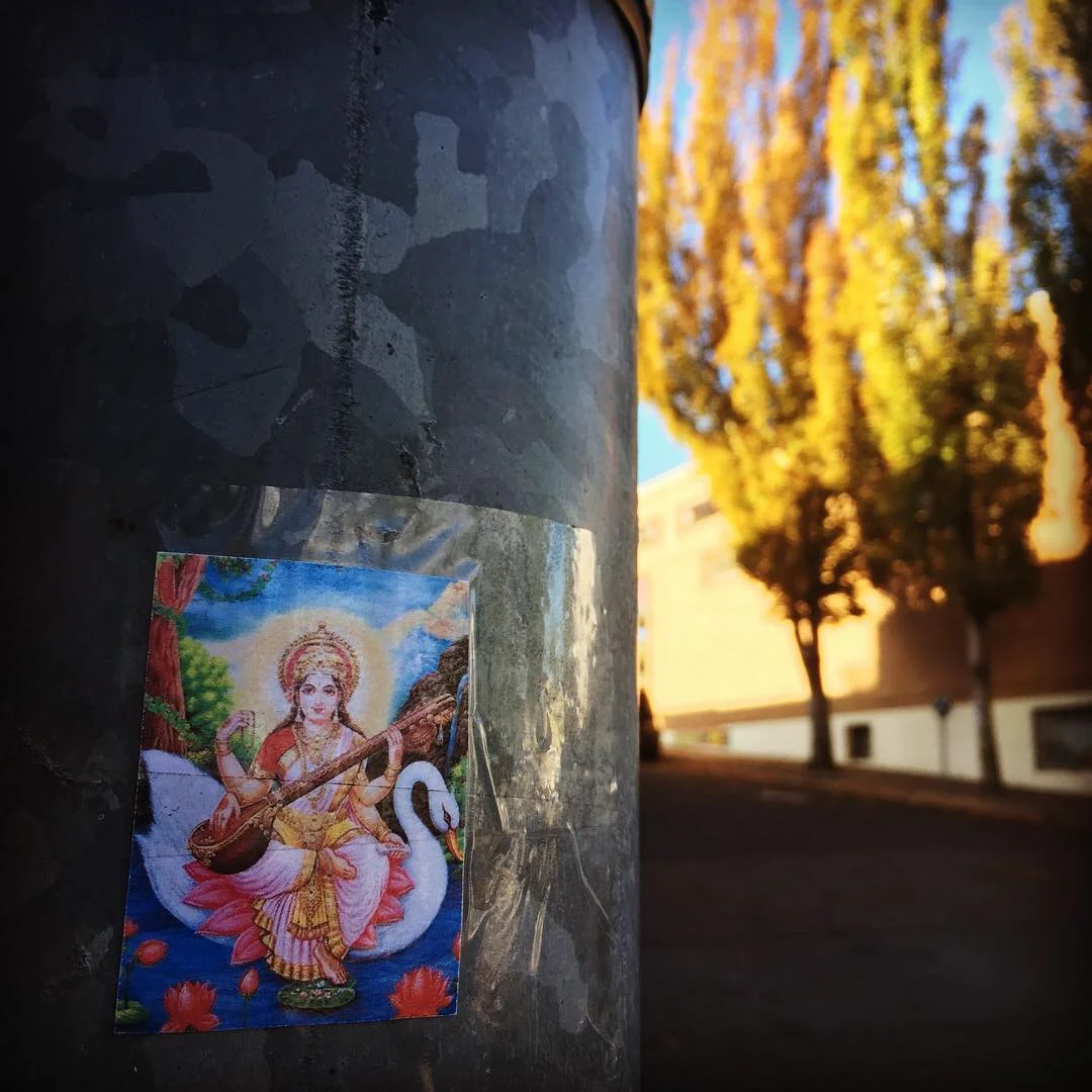 259338D7-0979-47D7-AB70-99CEC9B3A713.jpeg