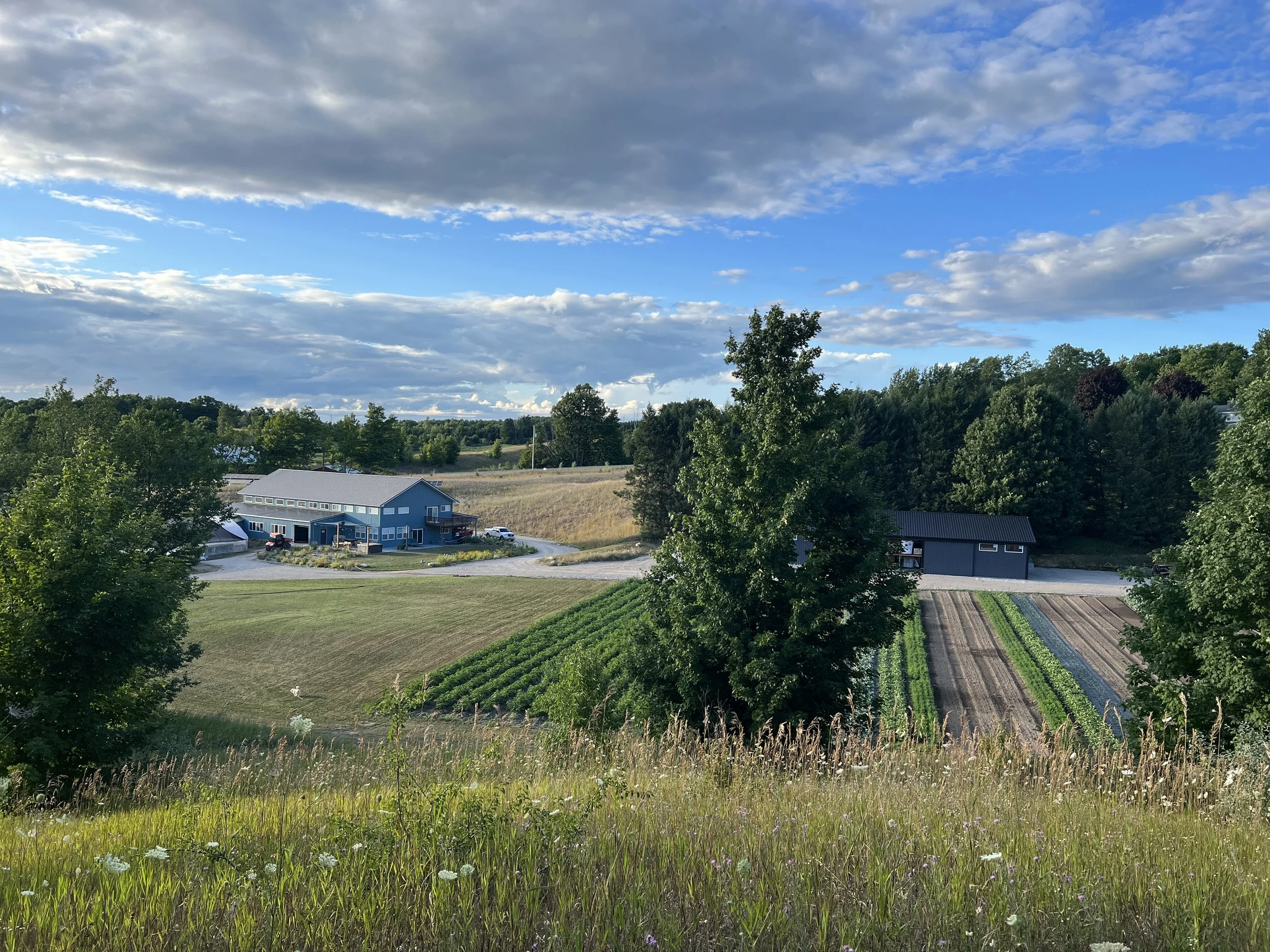 Lakeview Hill Farm — MI Farm Cooperative