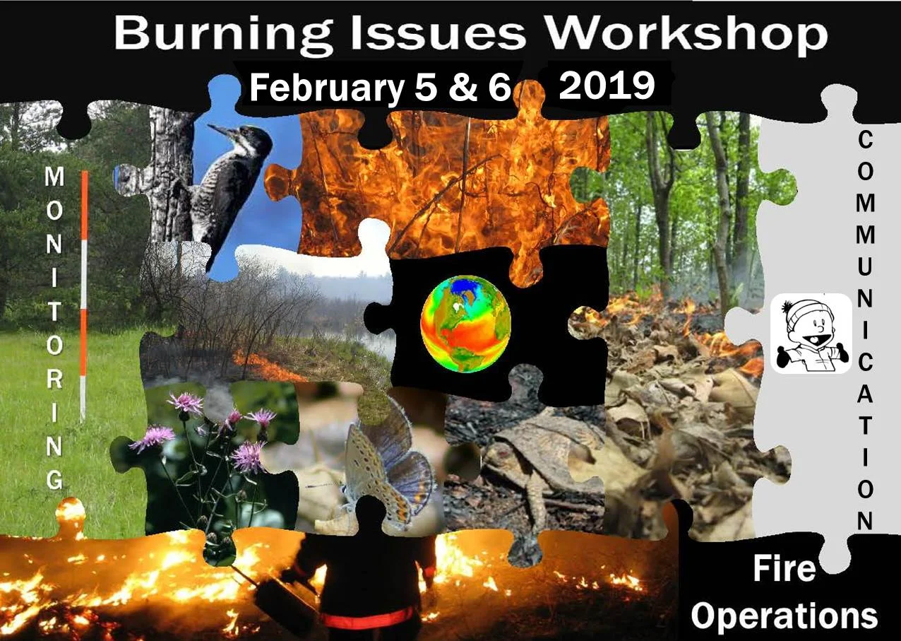 Burning Issues 5 - February 5th-6th 2019