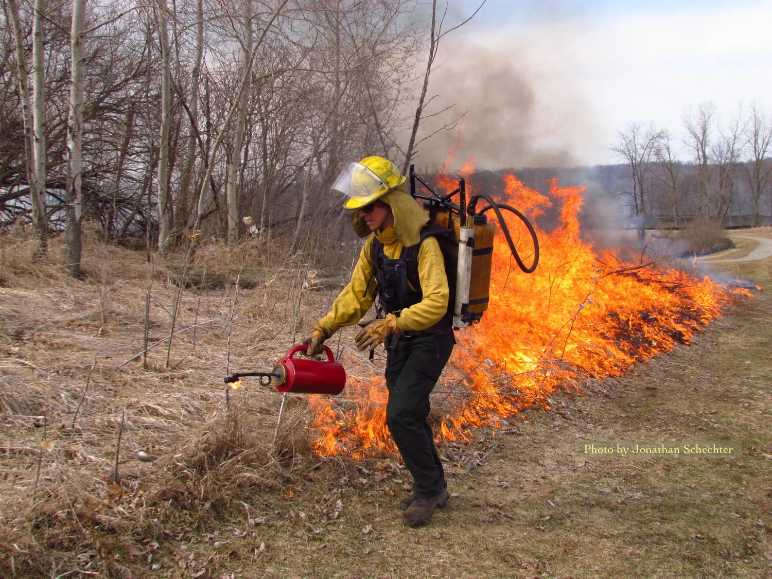 Photo by Jonathan Schechter.jpeg