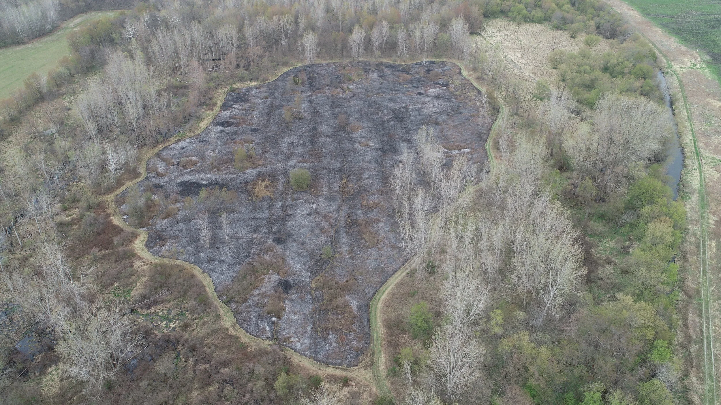 11/30/21 Quarterly Steering Committee Meeting Notes