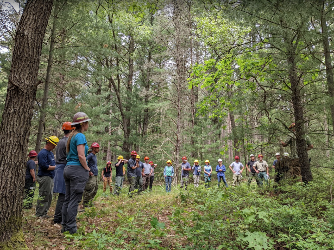 Professional Michigan Tree-Ring Fire History Field Trip Review