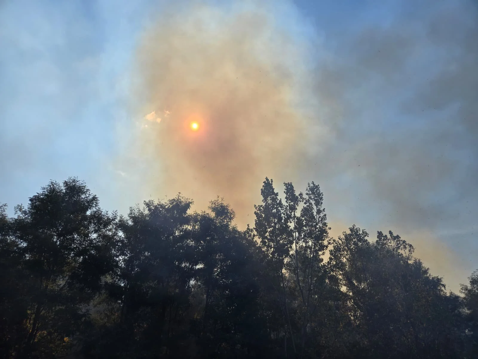 S 130/S 190 Firefighter Type II Training