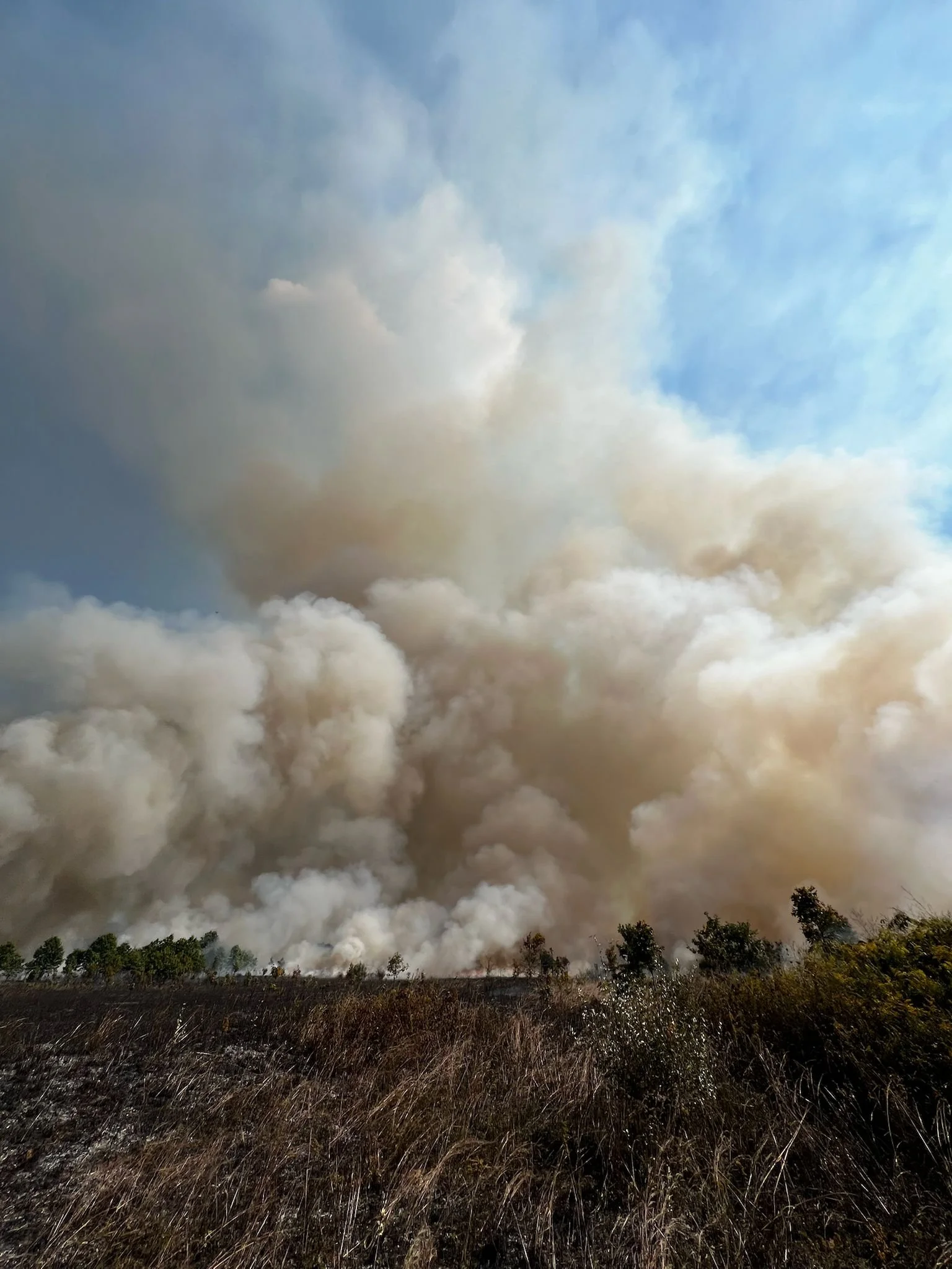 RT 130 Annual Fireline Refresher