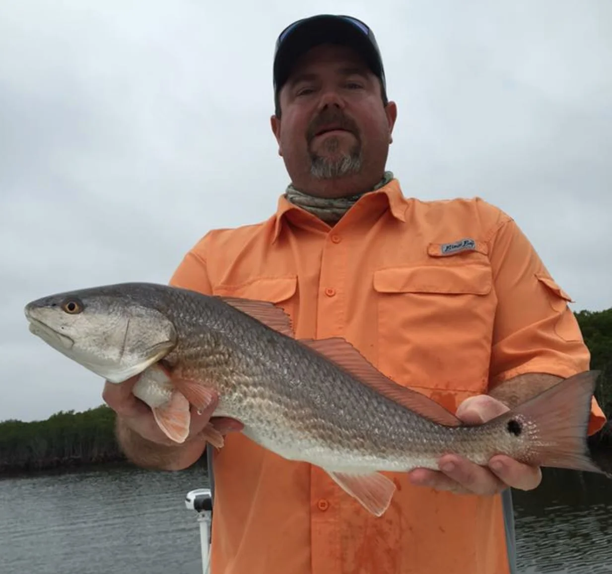 Red Fish.jpg