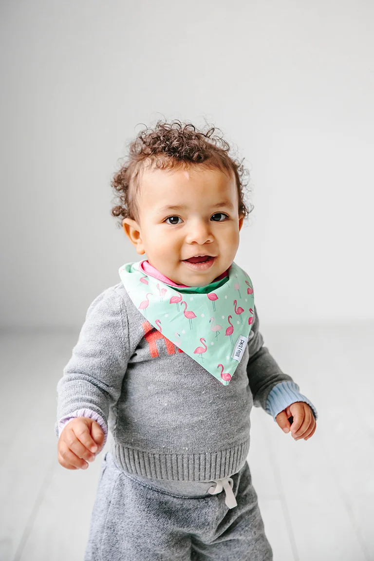 little j bird flamingo_2.jpg