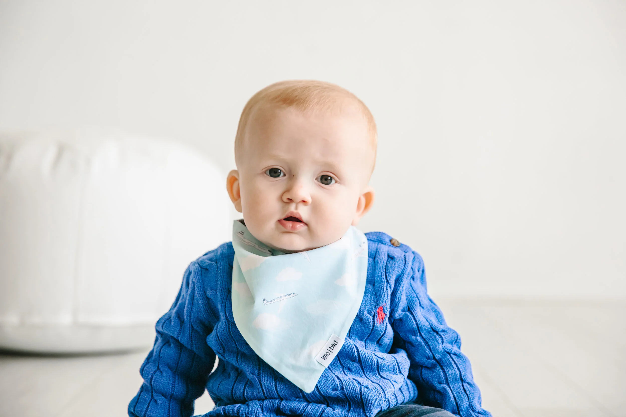 littlejbird(9of78).jpg
