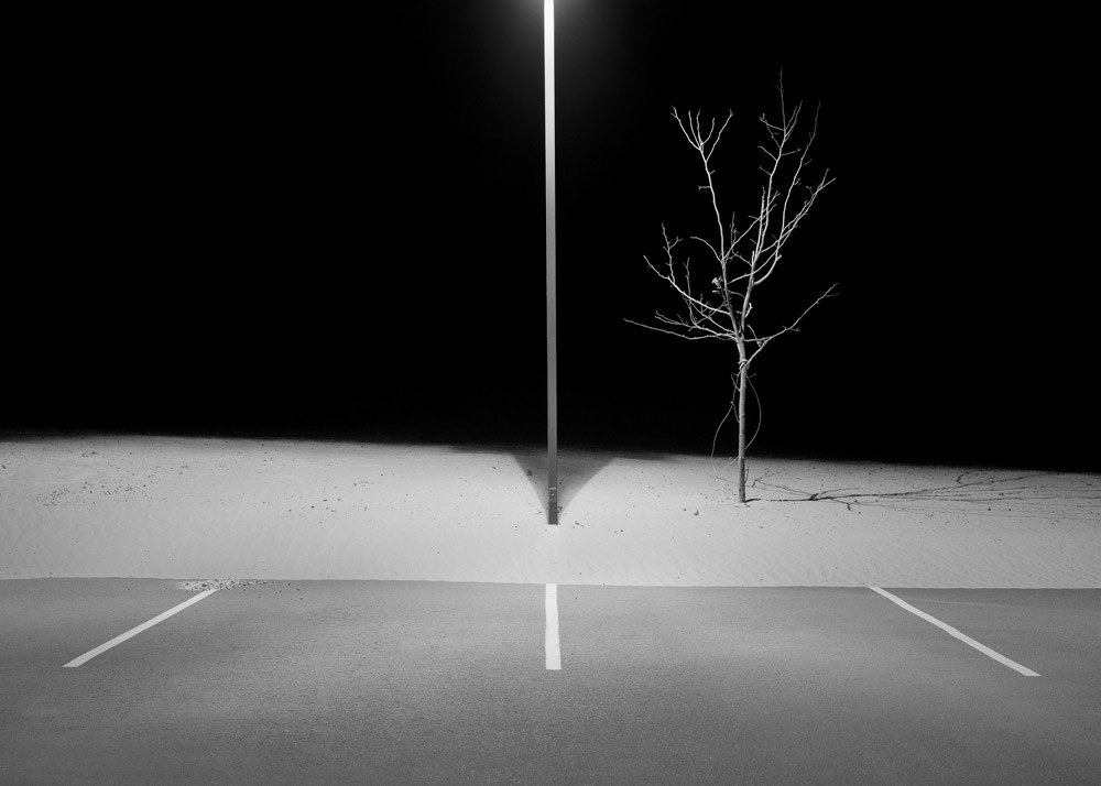 Lamp Post and Tree, Page, AZ, 1998