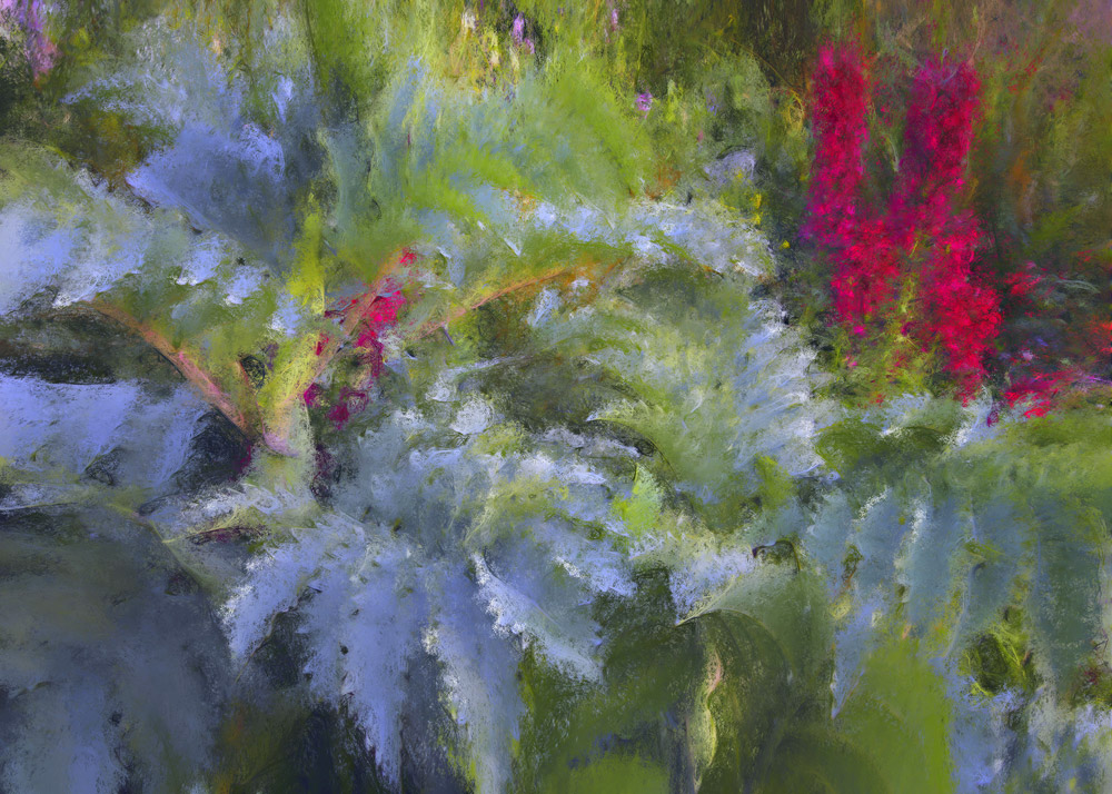 Delphinium & Ferns, 2007