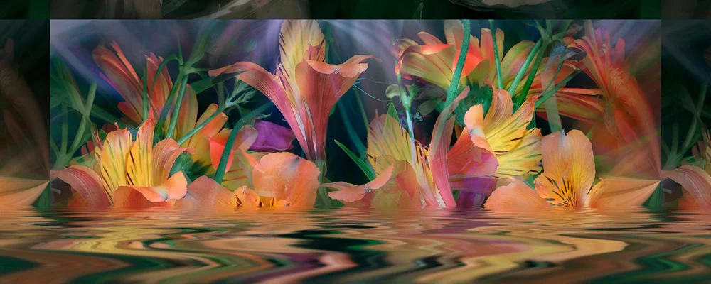 Peruvian Lilies #11, 2004
