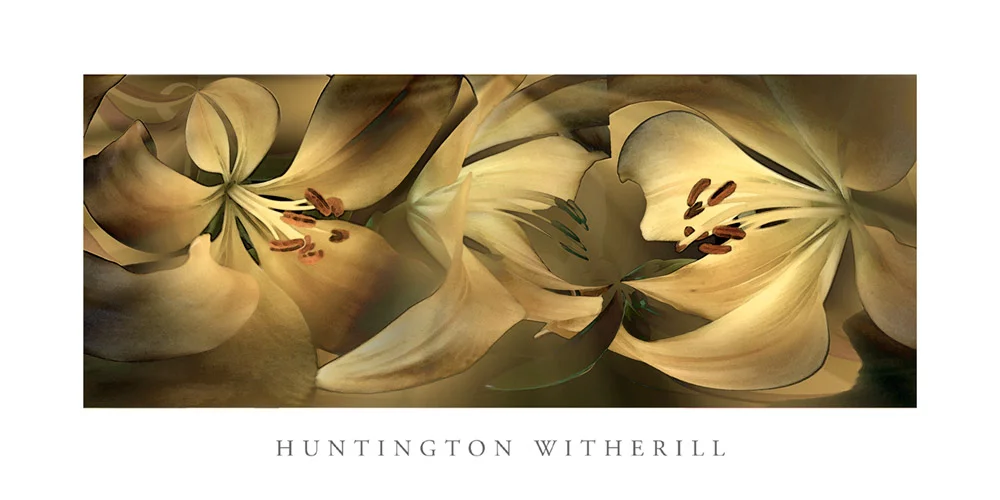 Poster: Lilies #35, 2002