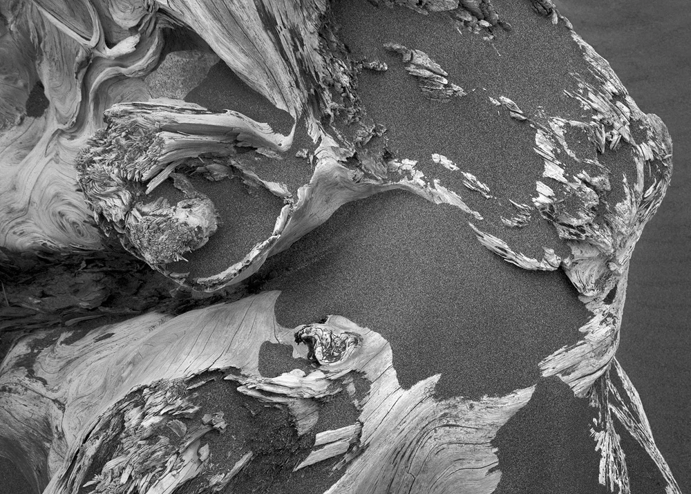 Driftwood, Myers Creek Beach, OR, 2008