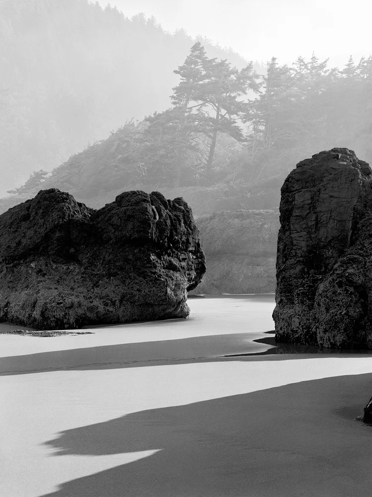 Morning Mists, Oregon Coast, 1979