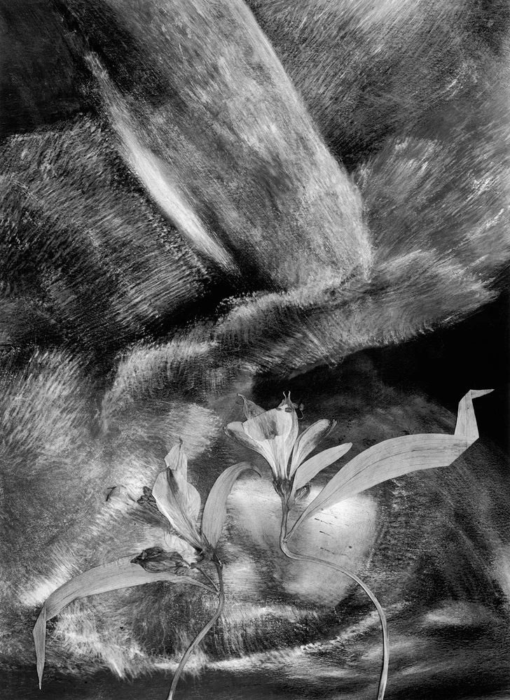 Peruvian Lilies, 1991