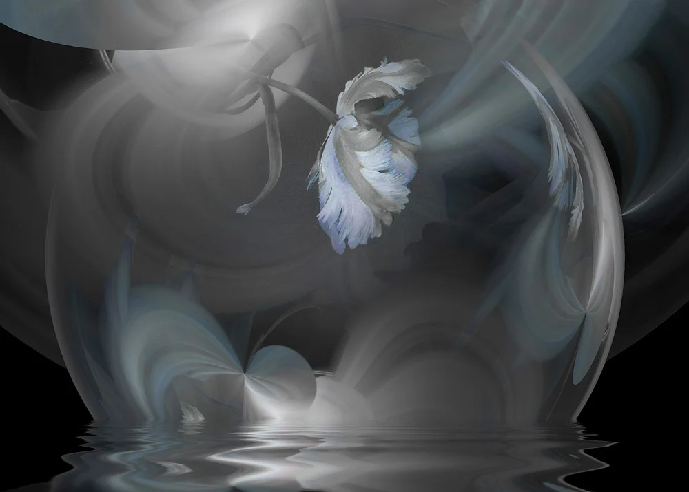 Parrot Tulips #22, 2004