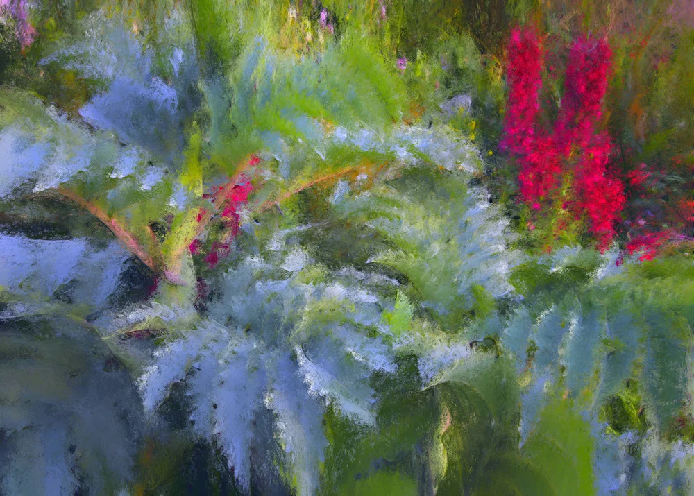 Delphinium & Ferns, 2007