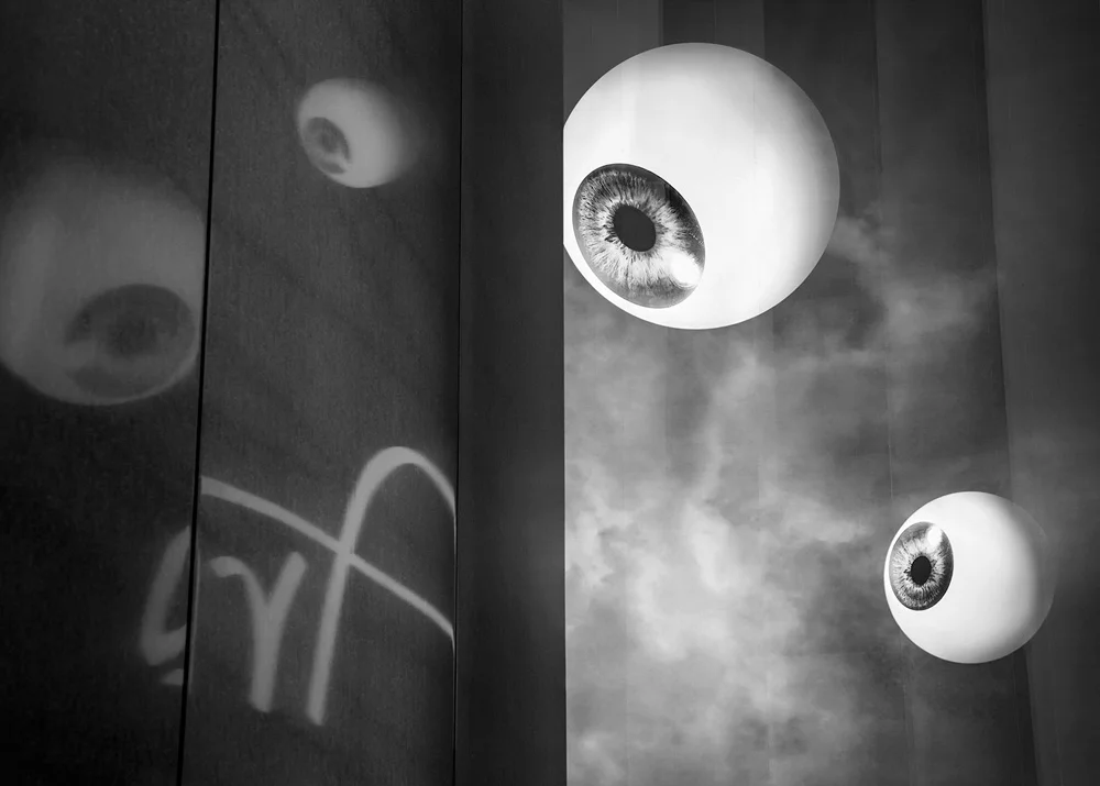 Wandering Eyes, Las Vegas, NV, 2013