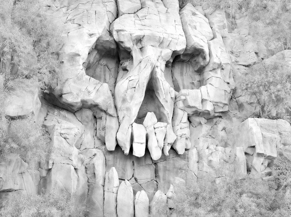 Skull, Las Vegas, NV, 1998