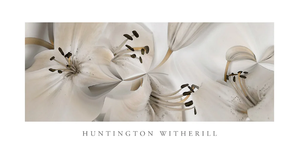 Poster: Lilies #54, 2003