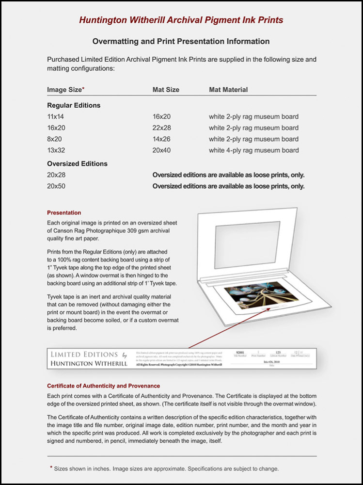 Pigment Ink Presentation Info