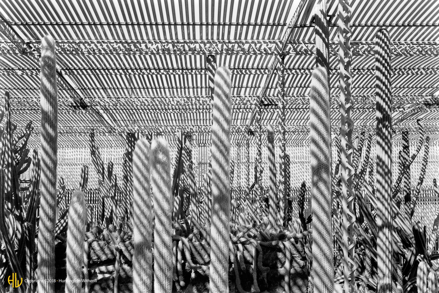 Cactus Garden #3, Phoenix, AZ, 1989