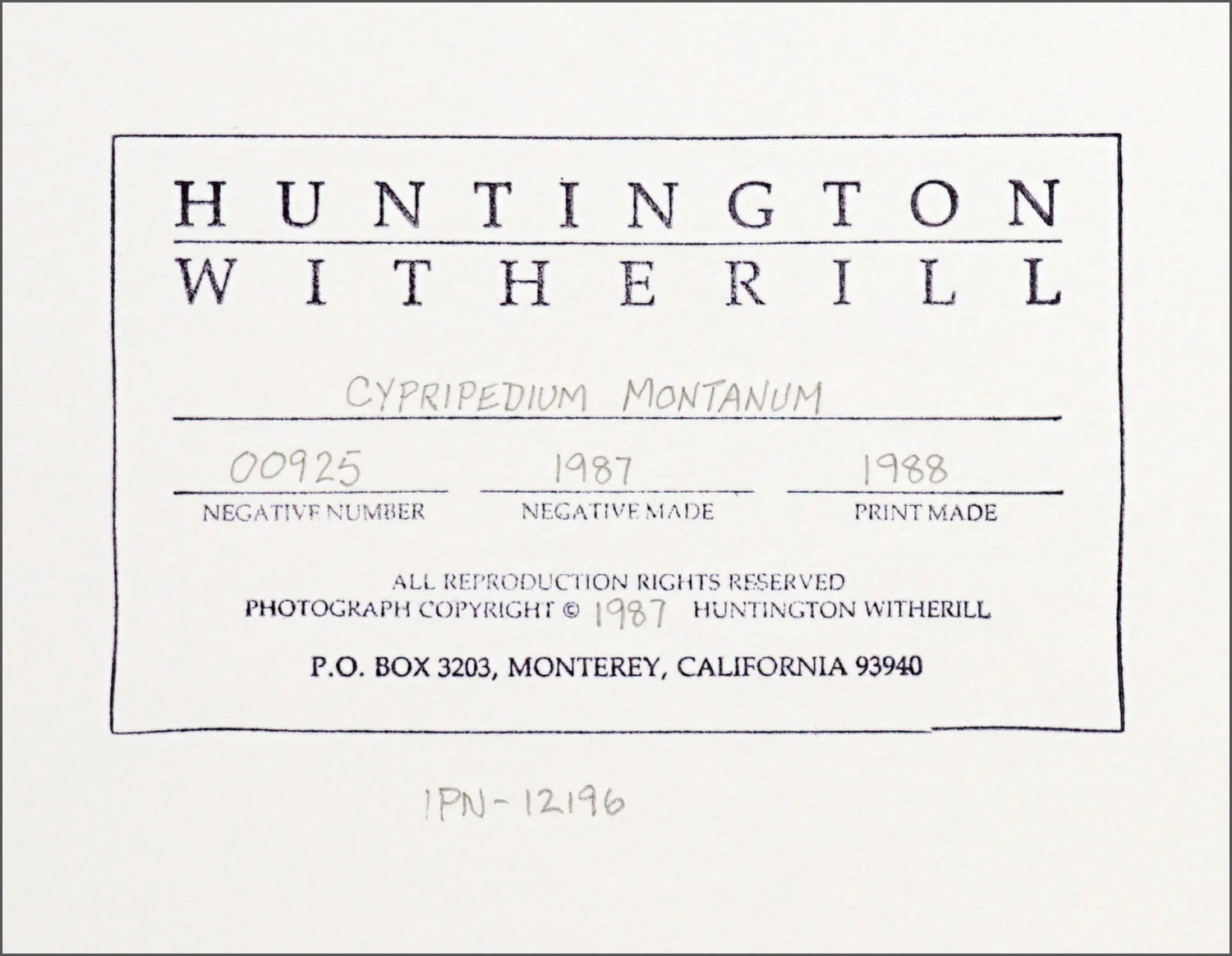 IPN-12196-label
