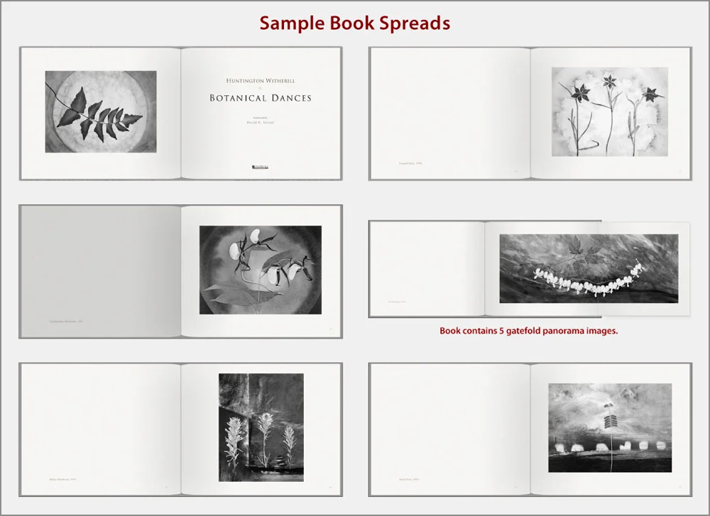bd-spreads.jpg