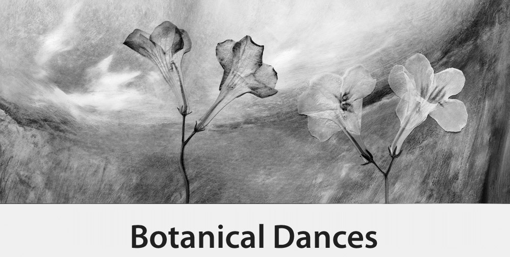 Botanical Dances