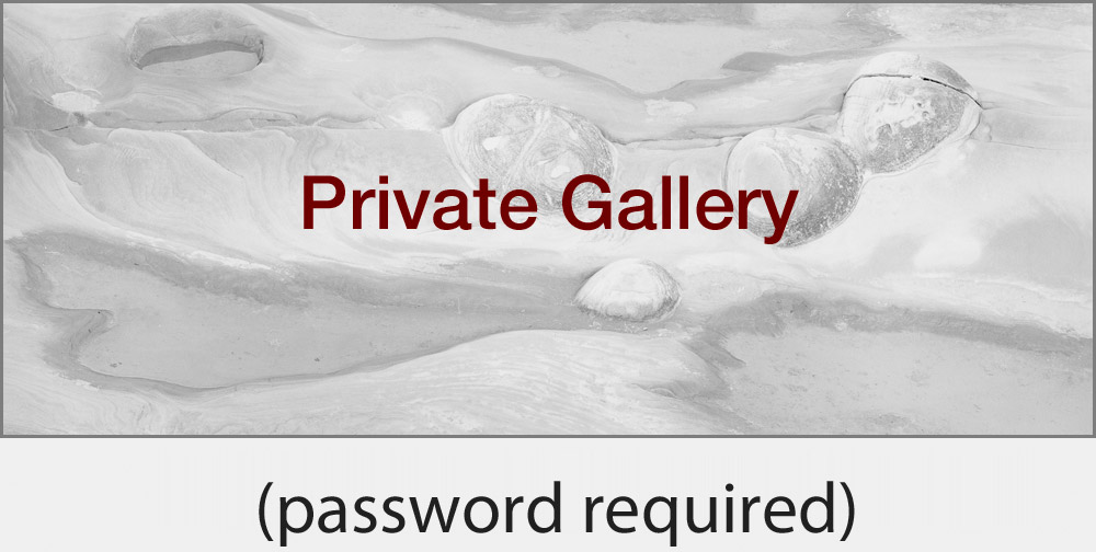 Private Gallery (password required)