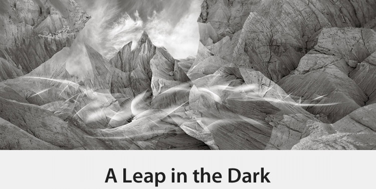 Copy of A Leap in the Dark